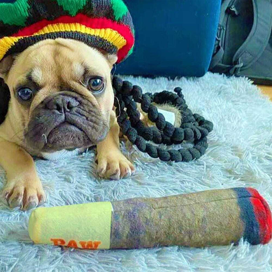 Paw Stogie – The Chewable “Cigar” Your Dog Can’t Refuse